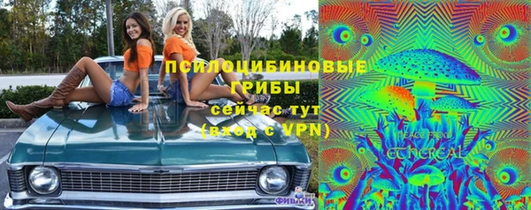 соль ск Алексеевка