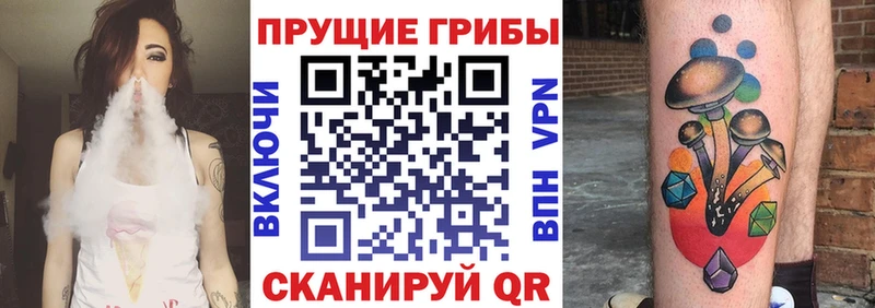 МЕГА tor где найти наркотики Невинномысск Галлюциногенные грибы мицелий